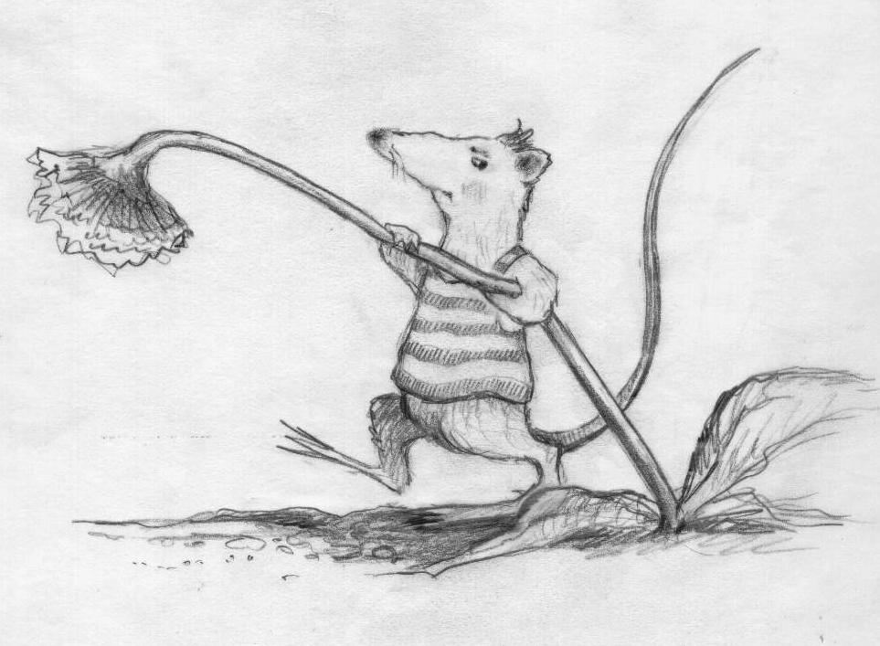 ratty-dandelion.jpg